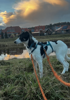 2026 02 21 08 18 49 Posteingang Sina.Rieke Kroeger@oetker.com Outlook