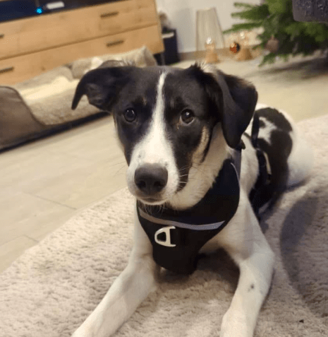 2026 04 01 14 08 47 Weekly Touchpoint Oetker Solutions NEXT Microsoft Teams