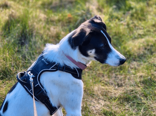 2026 04 01 14 08 54 Weekly Touchpoint Oetker Solutions NEXT Microsoft Teams