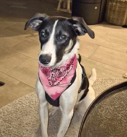 2026 04 01 14 08 58 Weekly Touchpoint Oetker Solutions NEXT Microsoft Teams