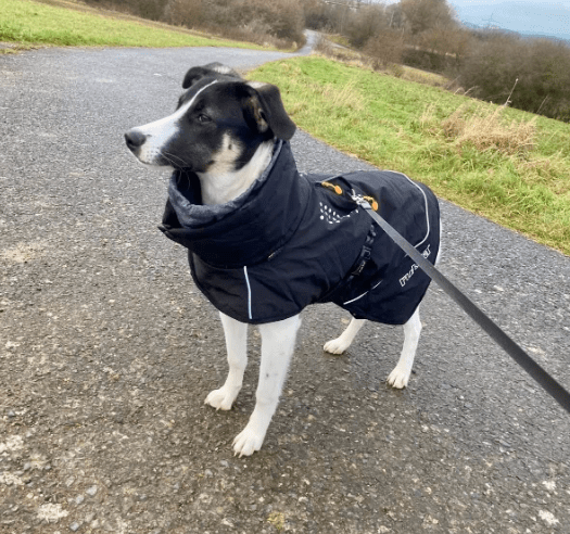 2026 04 01 14 09 13 Weekly Touchpoint Oetker Solutions NEXT Microsoft Teams