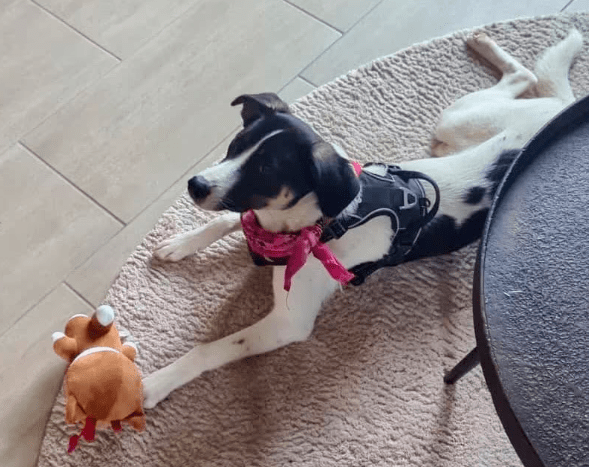 2026 04 01 14 09 20 Weekly Touchpoint Oetker Solutions NEXT Microsoft Teams