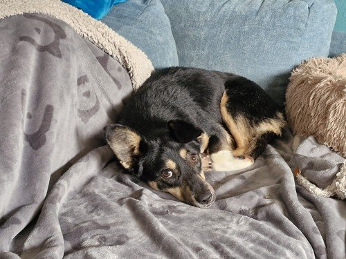 20260117 115055 copy 1000x750 copy 500x375