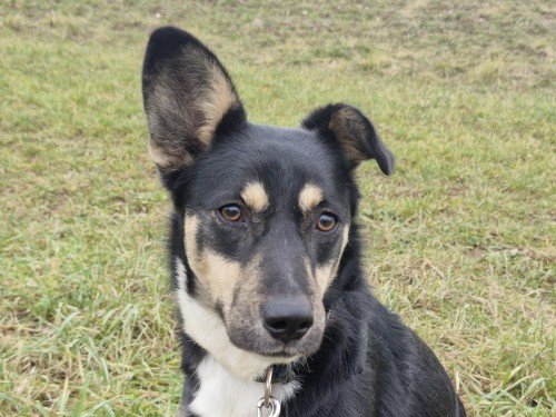 20260118 113917 copy 1000x750 copy 500x375