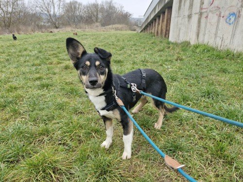 20260118 114333 copy 1000x750 copy 500x375