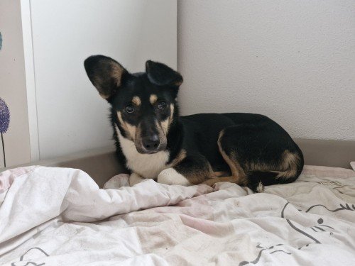 20260118 120621 copy 1000x750 copy 500x375