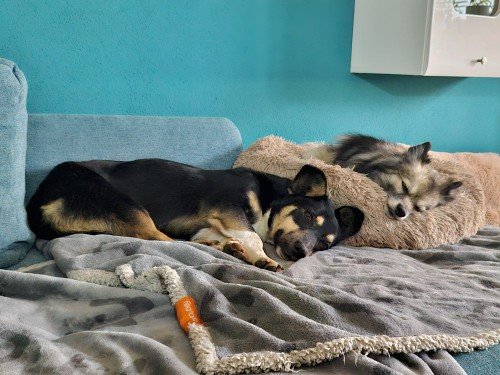 20260118 152316 copy 1000x750 copy 500x375