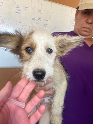 504325517 30502945749349058 2231814891229575505 n