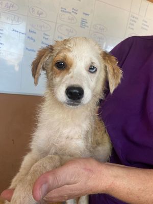 518452931 1068832398175906 8655663366721788397 n