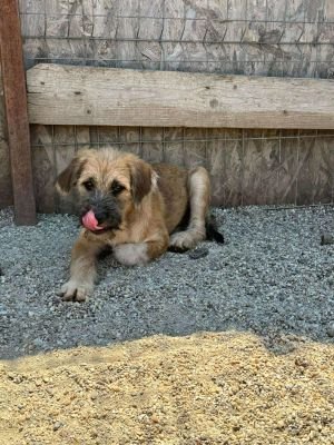 519677872 703595659340994 214090578659037859 n