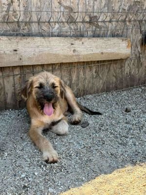 520561327 1836968277235040 5783916660489786902 n