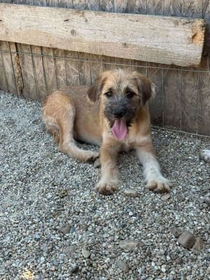 521099240 1054394000135890 5013691929386359425 n