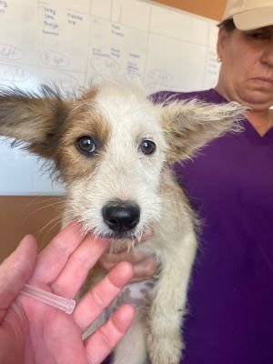 521141732 1250274986153892 8524677268023342531 n