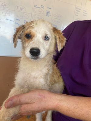 521175790 685165204525728 7712288860871598363 n