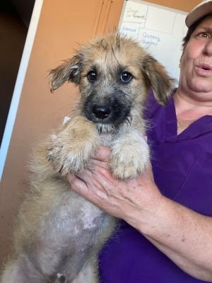 521488273 997560735660218 4156448894996445330 n