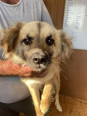 524607469 765013219335170 7138985658898577746 n