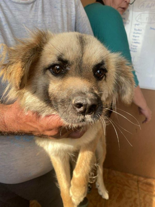 526568854 1369288817471873 4994885156094216768 n