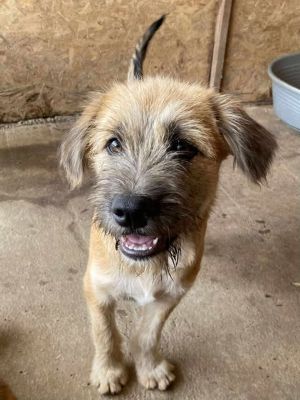 526956287 755138277218301 6673995678961495216 n