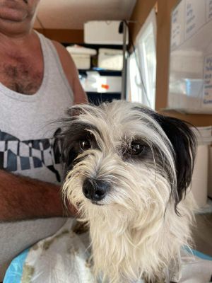 527602233 766054629243591 5050487508187298371 n