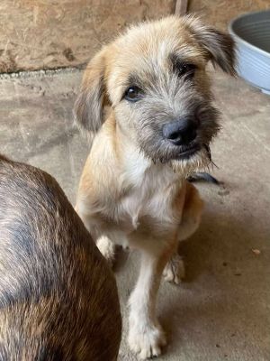 528719805 1092828699037782 3058528364679213779 n