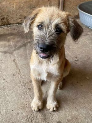 529864739 1094701125476831 8020545553224554260 n