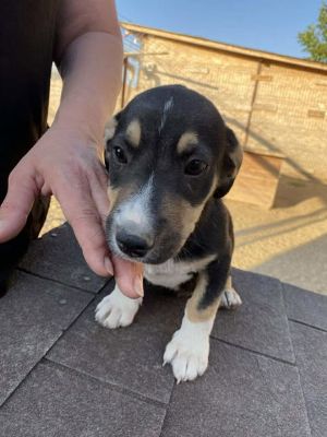 537083506 1428556291748752 6940222386685762550 n