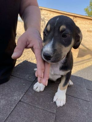 537821976 656616690277660 2128743345258556575 n