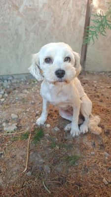 537862851 1304728287948949 5684381828215529225 n