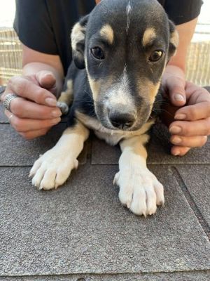 538046834 1866538293930055 275320372465235470 n