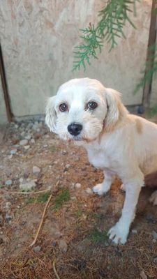 538241363 1469961531003318 6481243237112900025 n