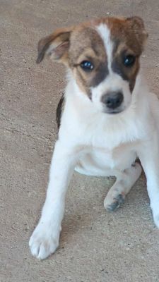 538259414 790230420126581 5938192984183659474 n