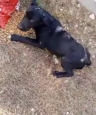 539259087 1290096876030491 254172483491577489 n