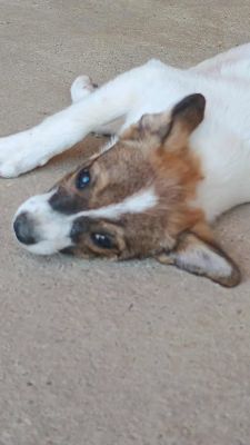 539341661 1339640144247129 1151605057073947047 n