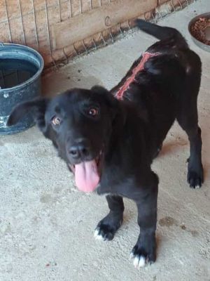 540507557 1456730092348064 5856305314519716658 n