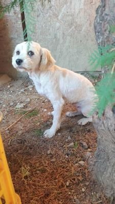 540751214 781509044412793 8628250542800688271 n