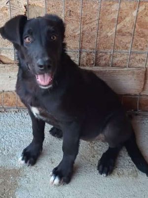 540897456 2481862338842032 6679545405519096788 n