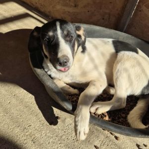 551736780 2779018655628280 5124562098095803338 n