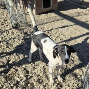 551852016 1160964076129813 8214148818905588295 n