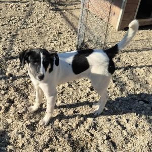 551874223 1518114626112978 420125977266215007 n