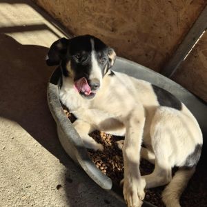 554679464 1333533824947605 5057510041598915802 n