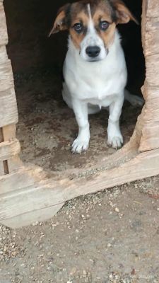 557373763 849848147590773 9080782867292241769 n