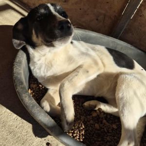 557675496 1836655023602018 6258931189425214457 n