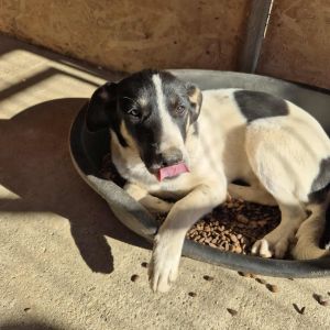 566585494 2272896696486131 2567915318147384554 n