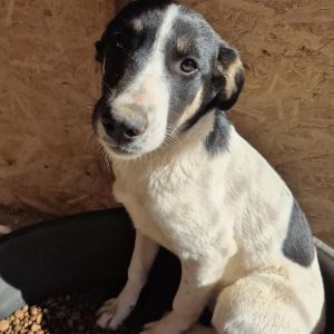 566588902 724504856606328 5596554186251883383 n