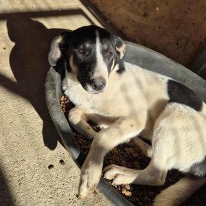 566632404 690292567037086 5239486254004843535 n