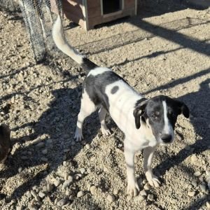 566635352 1522603828865716 3696145602169035214 n