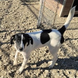 566637832 1970810237100655 8203693926199414896 n