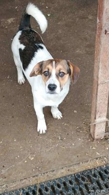 566644088 1646471789665308 4871468754594004880 n