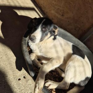 566661643 1377469163950708 3457197685837011183 n