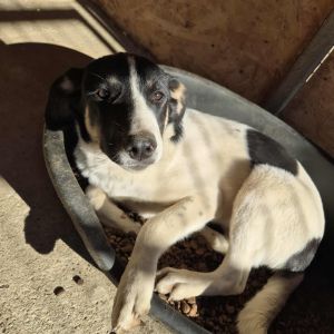 569898069 1617063305929035 8576025502510175001 n